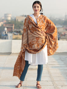 Mustard Beige Aari Embroidered Pure Wool Self Check Kashmiri Shawl - S200511