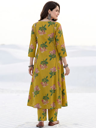 Aina Saumya Kali Kurta