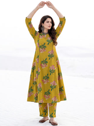 Aina Saumya Kali Kurta