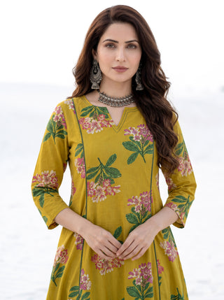 Aina Saumya Kali Kurta