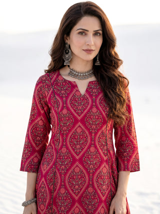 Aina Roza Kali Kurta