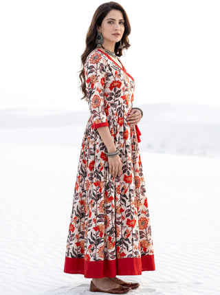 Fiza Raag Long Flared Dress
