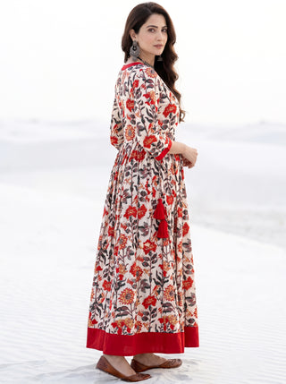 Fiza Raag Long Flared Dress
