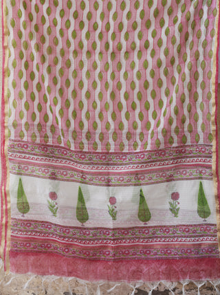 Aina Shahar Kota Cotton Dupatta