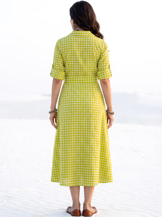 Fiza Meer Flared Dress