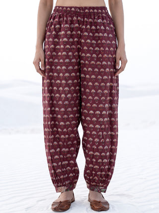 Aina Vipra Salwar Pants