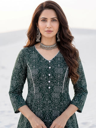 Fiza Vishakha Flared  Dress