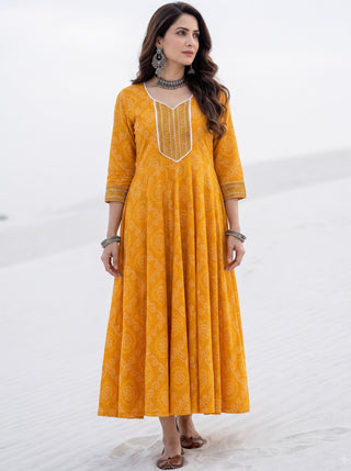 Fiza Jayden Flared  Dress