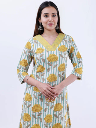 Roz Anisha Straight Kurta