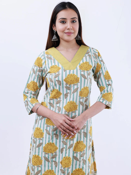 Roz Anisha Straight Kurta