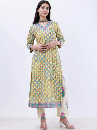 Roz Amisha Straight Kurta