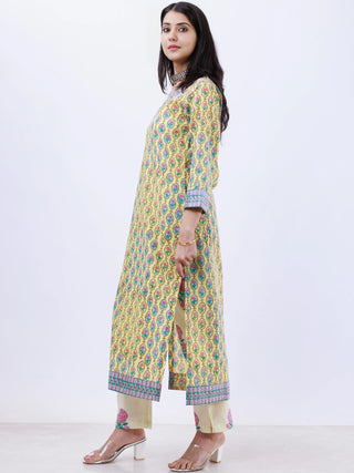 Roz Amisha Straight Kurta