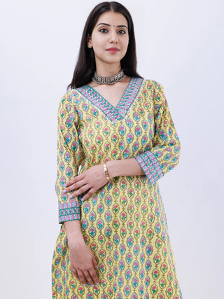 Roz Amisha Straight Kurta