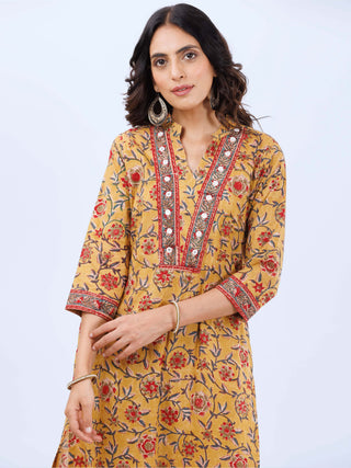 Aina Sohni Kurta