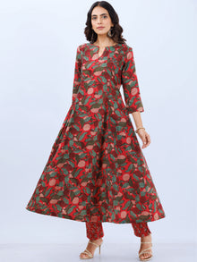 Aina Zoya Kali Kurta