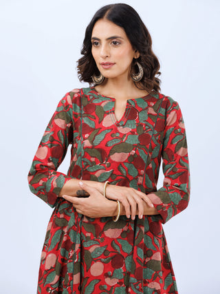 Aina Zoya Kali Kurta