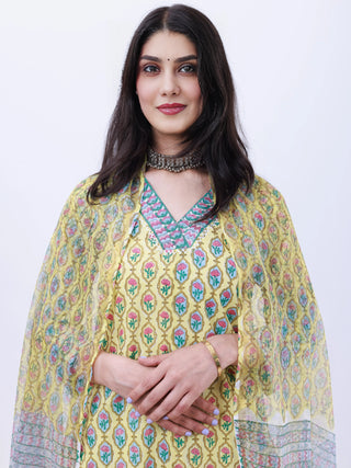 Roz Amisha Set Of Kurta Pants Kota Doria Dupatta