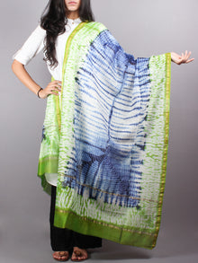 Indigo Mint Green Chanderi Shibori Dyed in Natural Colors Dupatta with Bandani Touch - D0417047