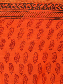 Coral Maroon Black Bagh Printed Maheshwari Cotton Saree - S031703316