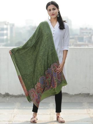 Green Black Paisly Weaved Border Silk Wool Kashmiri Stole - S200568