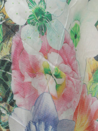 Ivory Multi Color Digital Print Modal Silk Wool Kashmiri Stole - S200609