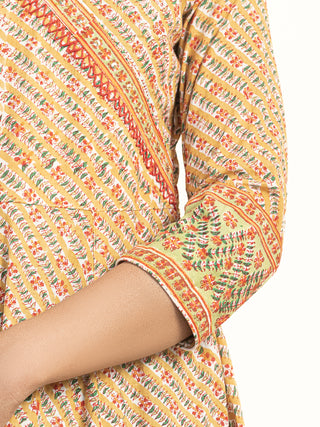 Fiza Payal Angrakha Long Dress