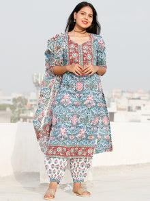 Nayab Sanaz - Set of Kurta Salwar Pants & Dupatta - KS47R2558D