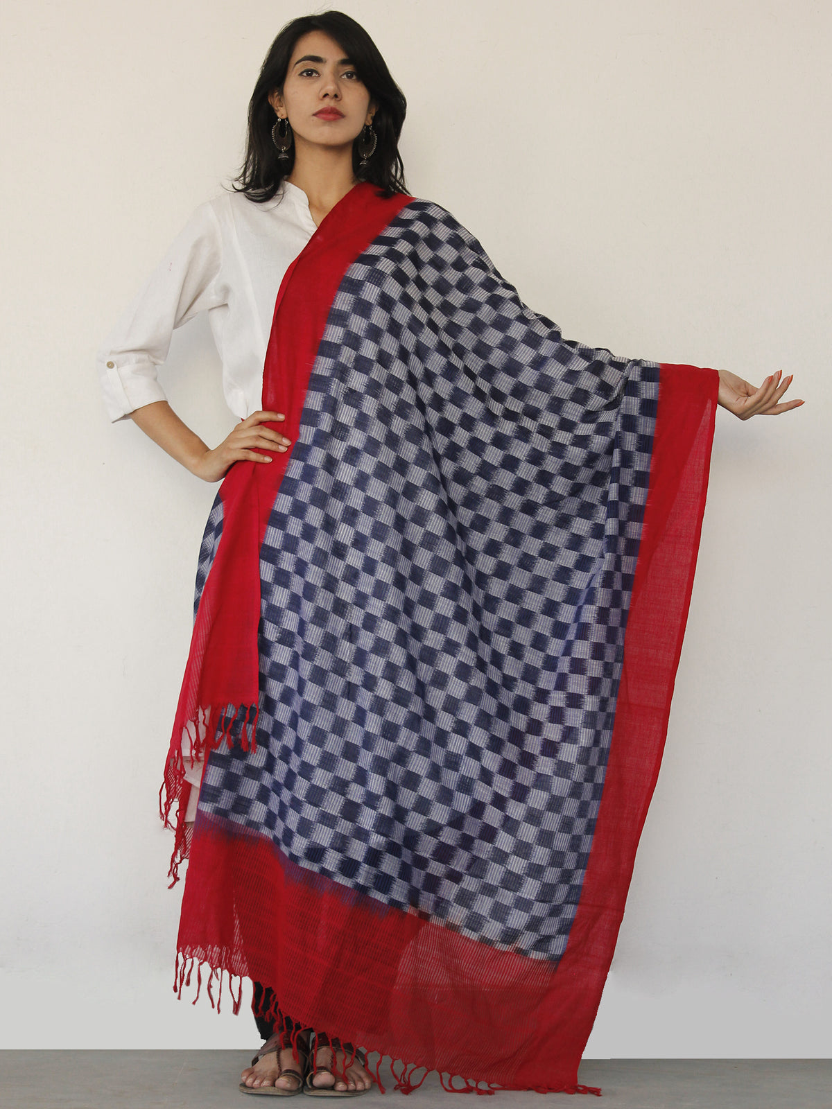 Indigo Blue Red Double Ikat Handwoven Pochampally Cotton Dupatta -  D04170139