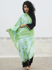 Green Ivory Cashmere Semi Pashmina Woolen Tie & Dye Stole - S6317188