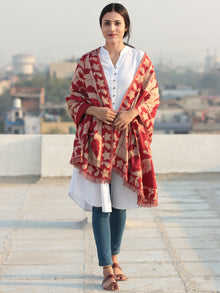 Red Beige Aari Embroidered Pure Wool Self Check Kashmiri Shawl - S200513