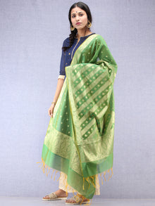 Banarasi Chanderi Dupatta With Resham Work - Green & Gold - D04170805