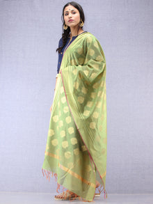 Banarasi Chanderi Dupatta With Resham Work - Light Green & Gold - D04170811