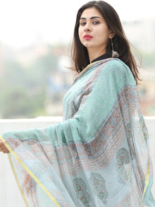 Bagru Authentic Hand Block Printed Chiffon Saree – InduBindu