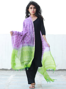 Purple Light Green Chanderi Hand Block Printed Dupatta - D04170479