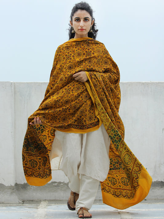 Yellow Green Maroon Ajrakh Hand Block Printed Modal Silk Dupatta - D04170336
