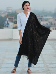 Black Jamavari Aari & Sequence Embroidered Pure Wool Kashmiri Stole - S200545
