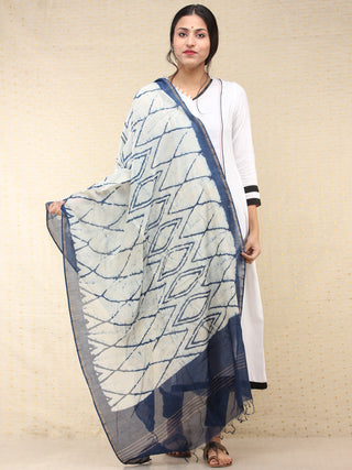Indigo Chanderi Hand Brush Painted Dupatta - D04170736