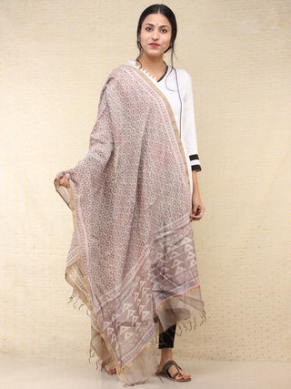 Kashish White Chanderi Hand Brush Painted Dupatta - D04170742