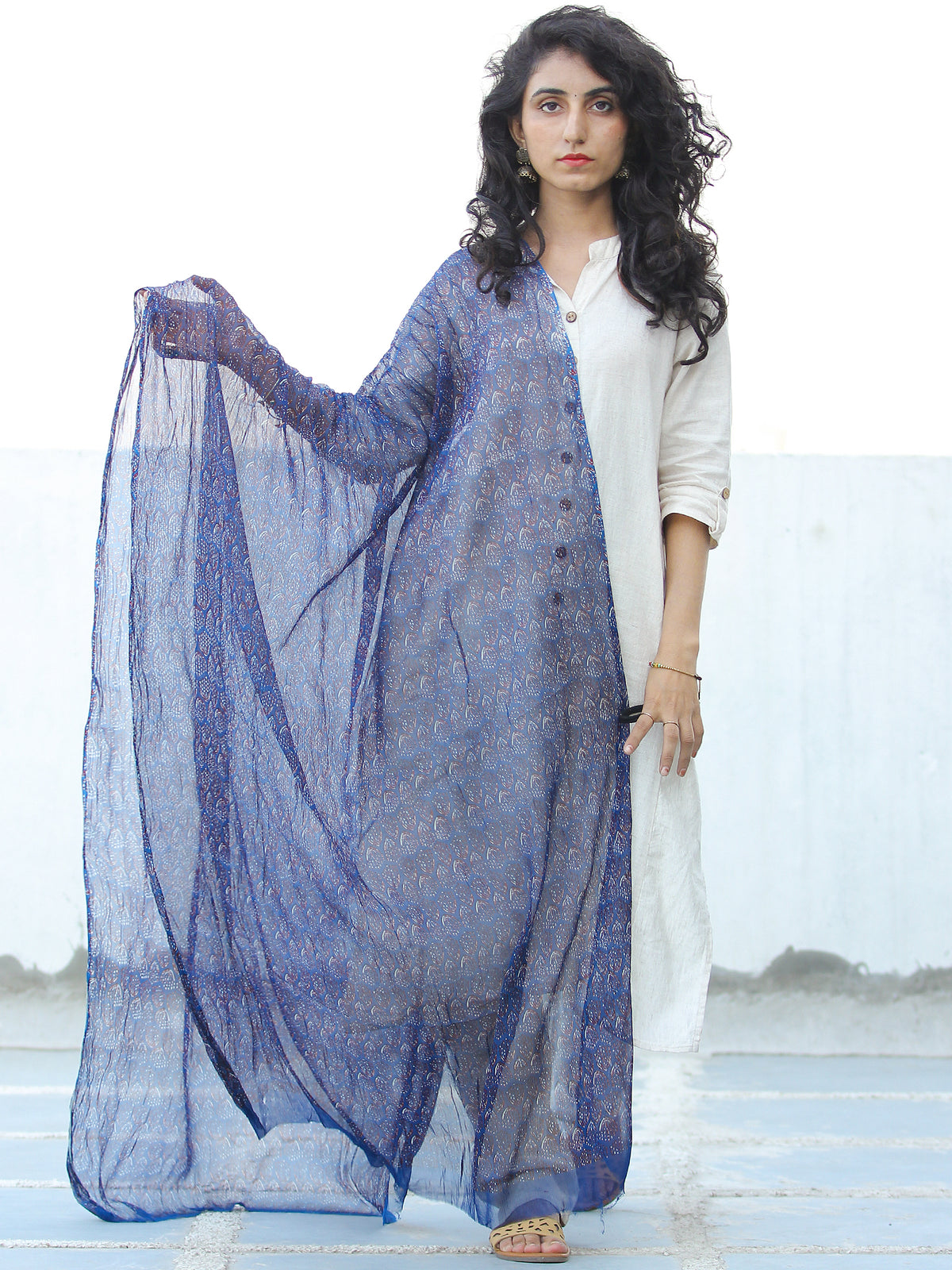 Indigo Rust Georgette Hand Block Printed Dupatta  - D04170683
