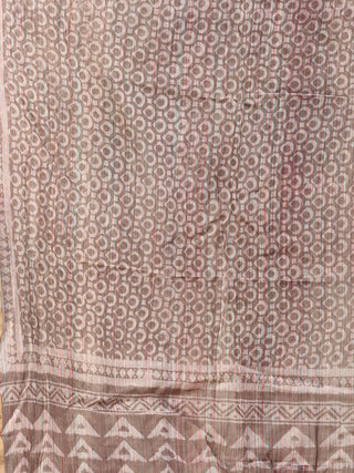 Kashish White Chanderi Hand Brush Painted Dupatta - D04170742