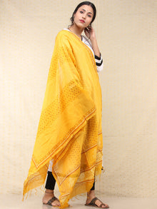 Bright Yellow White Chanderi Hand Brush Painted Dupatta - D04170746