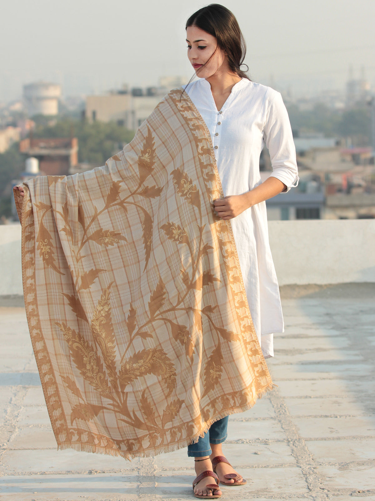Beige Brown Aari Embroidered Pure Wool Self Check Kashmiri Shawl  - S200509