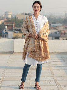 Beige Brown Aari Embroidered Pure Wool Self Check Kashmiri Shawl  - S200509