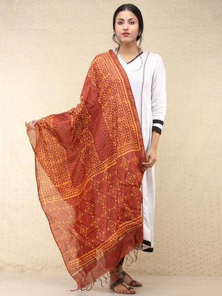 Brown Yellow Red Chanderi Hand Block Printed Dupatta - D04170757