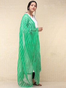 Green White Bandhini Hand Block Printed Dupatta  - D04170693