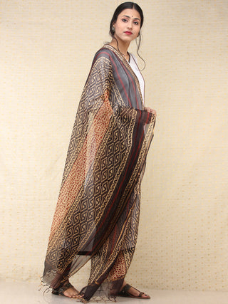 Beige Black Red Chanderi Hand Block Printed Dupatta - D04170764