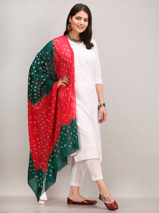 Noor Shafaq -  Self Embroidered Kurta Pant Set With Bandhini Dupatta - KS42BYYD3